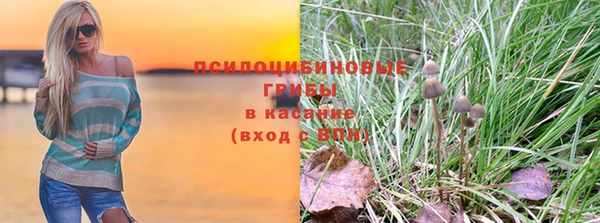 трава Каменногорск