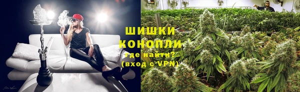 трава Каменногорск